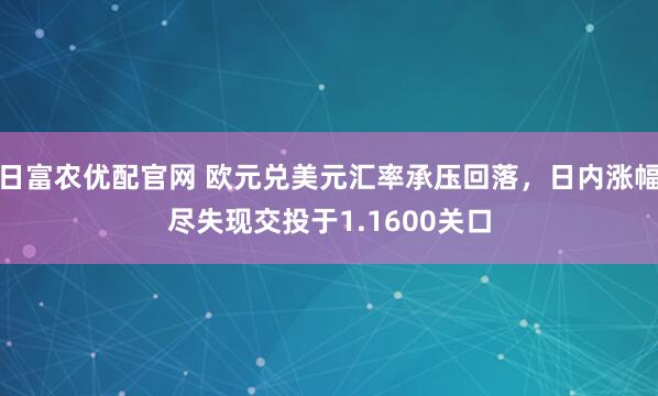 日富农优配官网 欧元兑美元汇率承压回落，日内涨幅尽失现交投于1.1600关口