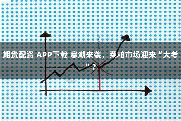 期货配资 APP下载 寒潮来袭，菜粕市场迎来“大考”？