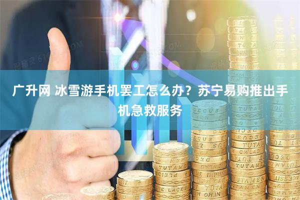 广升网 冰雪游手机罢工怎么办？苏宁易购推出手机急救服务