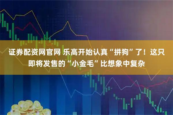 证券配资网官网 乐高开始认真“拼狗”了！这只即将发售的“小金毛”比想象中复杂