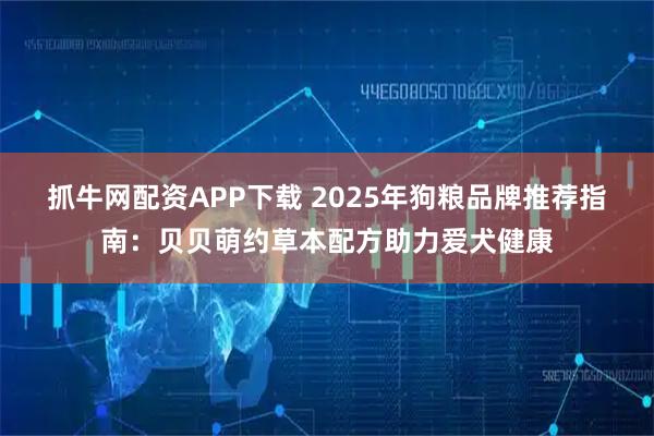 抓牛网配资APP下载 2025年狗粮品牌推荐指南：贝贝萌约草本配方助力爱犬健康