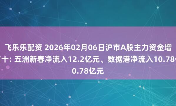 飞乐乐配资 2026年02月06日沪市A股主力资金增仓前十: 五洲新春净流入12.2亿元、数据港净流入10.78亿元
